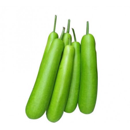 Fresh Bottle Gourd (lauki)