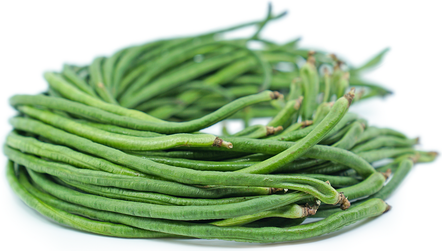 Fresh Green Long Beans