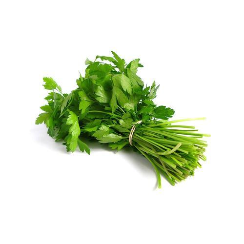 Fresh Coriander (Dhaniya)