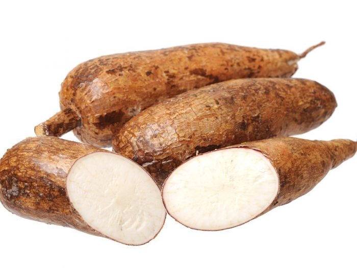 Manioc / Cassava